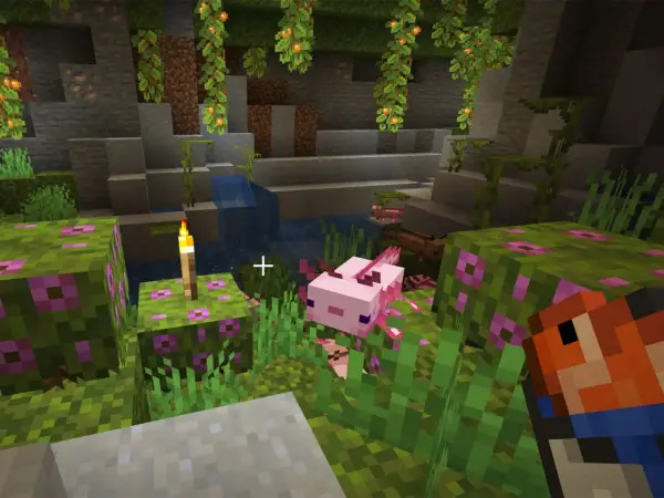 Axolotl Minecraft - Gdzie znaleźć, jak hodować i używać?